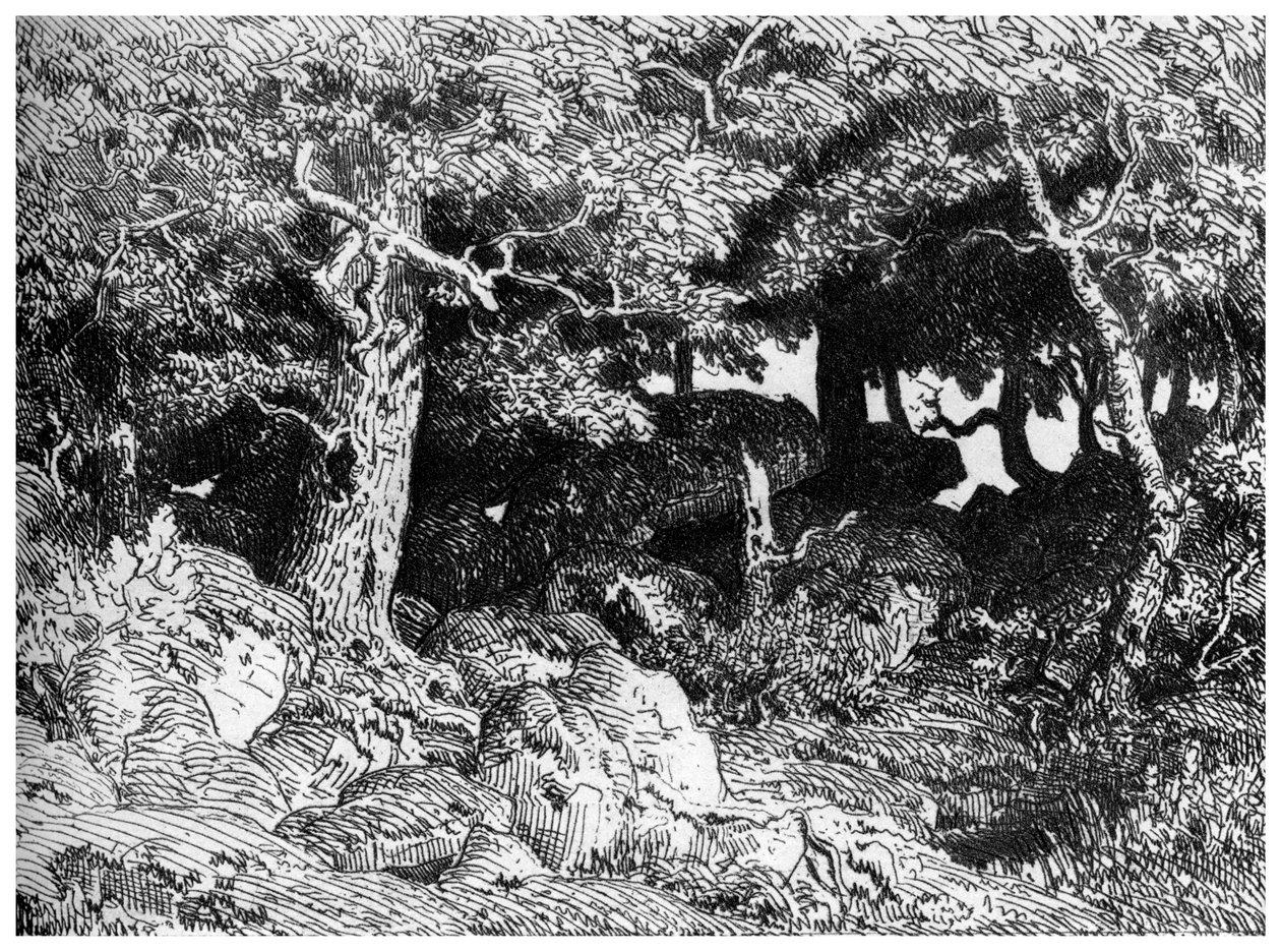 Les Chenes de Roche, ca. 1832-1860, 1924 door Pierre Etienne Theodore Rousseau