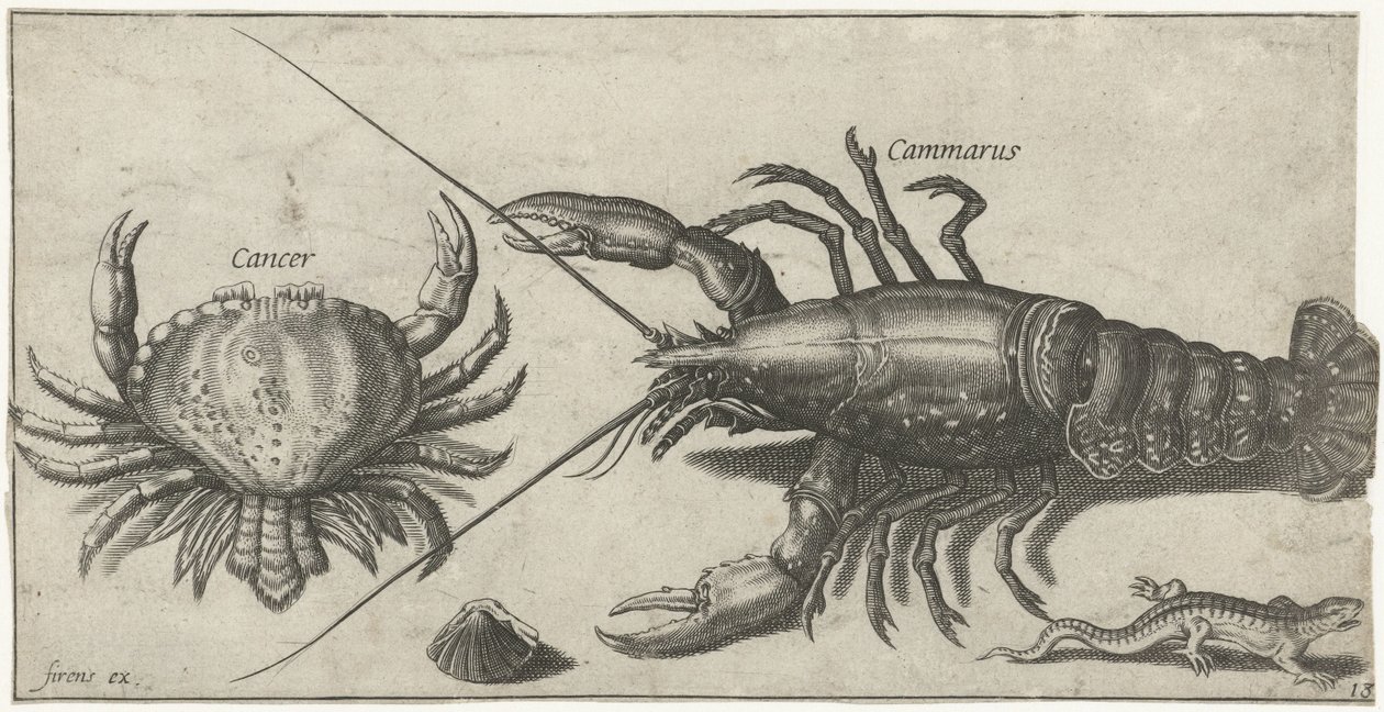 Kreeft, krab, salamander en een schelp door Pierre Firens