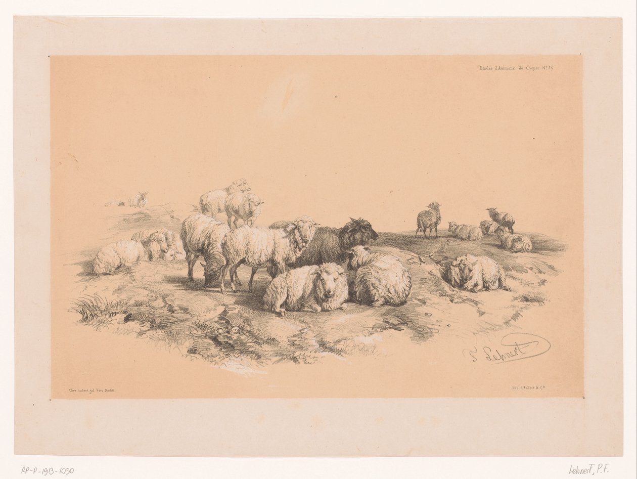 Studie van een kudde schapen door Pierre Frédéric Lehnert