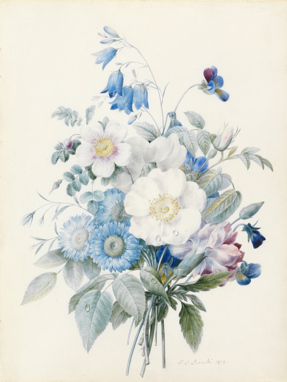 Blauwe asters, rosa spinosissima (hybride), klokjesbloem, viooltjes, anjer en een wilde roos door Pierre Joseph Redouté