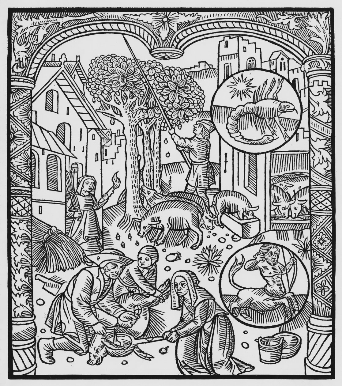 November, het varken doden en eikels oogsten, Schorpioen, illustratie uit de 