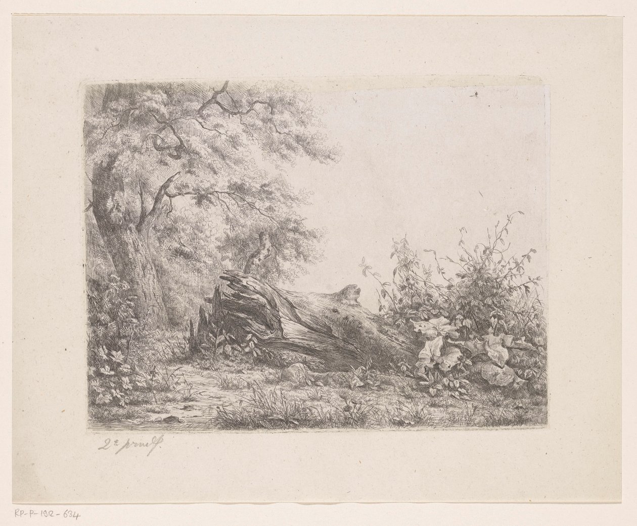 Omgevallen boom aan de bosrand door Pierre Louis Dubourcq