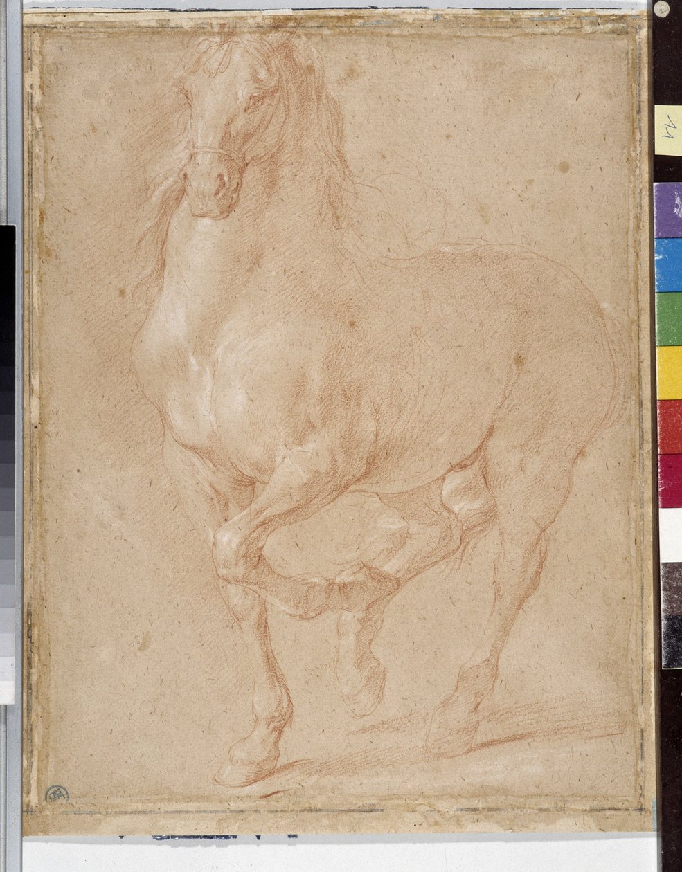 Paardenstudie door Pierre Puget