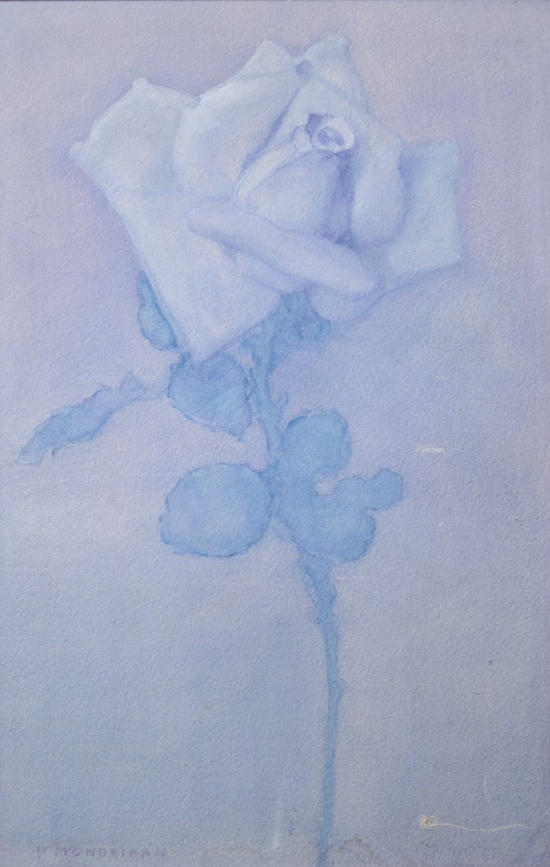 Witte roos door Piet Mondrian