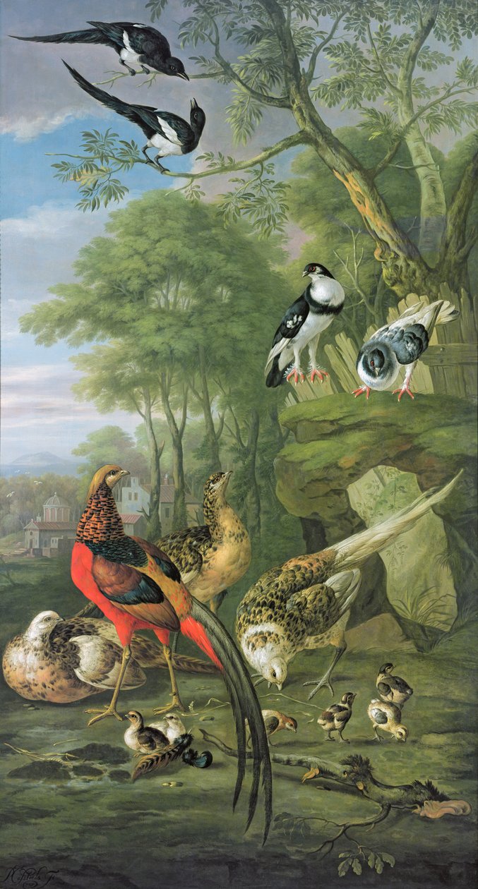 Haanfazant, henfazant en kuikens en andere vogels in een klassiek landschap door Pieter Casteels