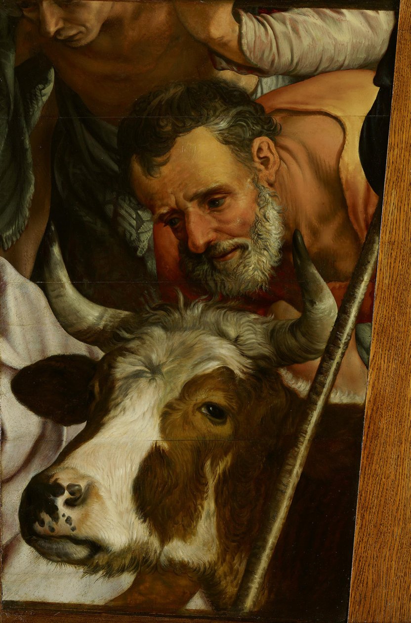 Aanbidding der herders (fragment) door Pieter Aertsen