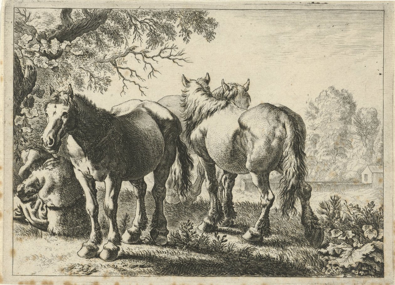 Drie paarden en een boer door Pieter Bodding van Laer