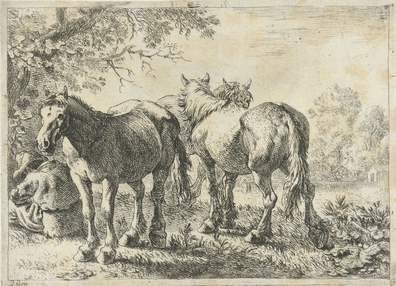 Drie paarden en een boer door Pieter Bodding van Laer