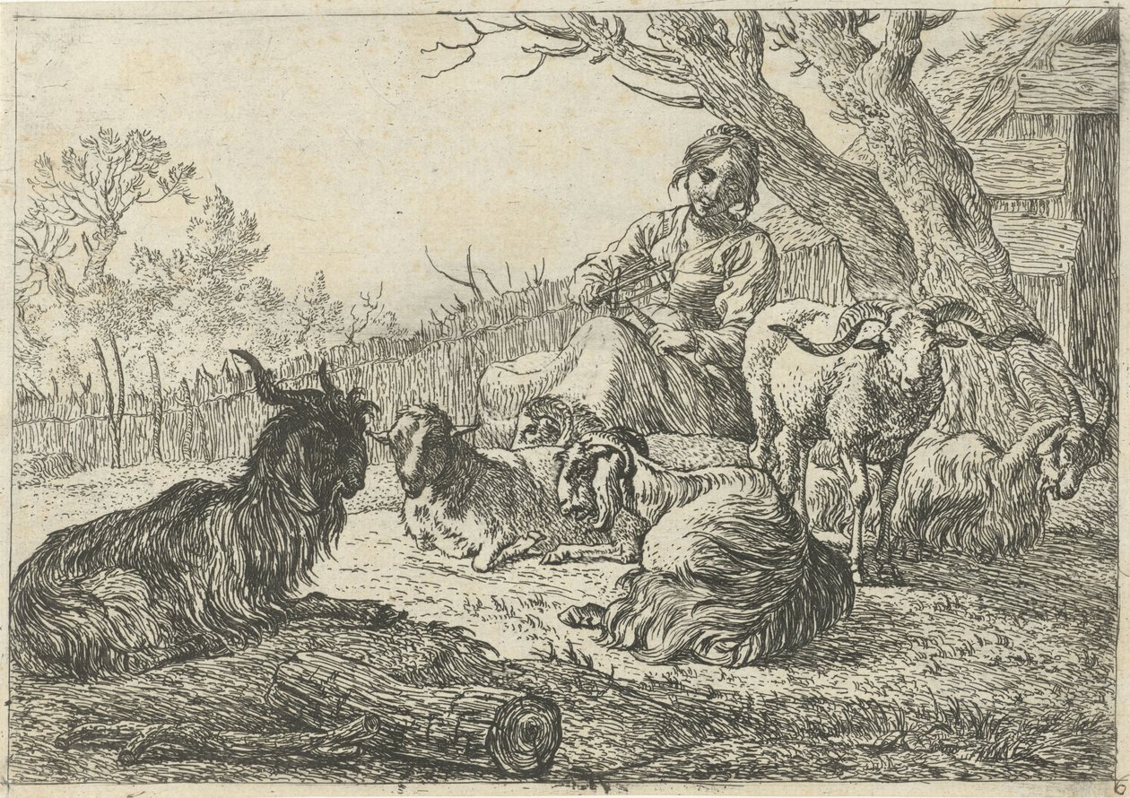 Herderin te midden van geiten en schapen door Pieter Bodding van Laer