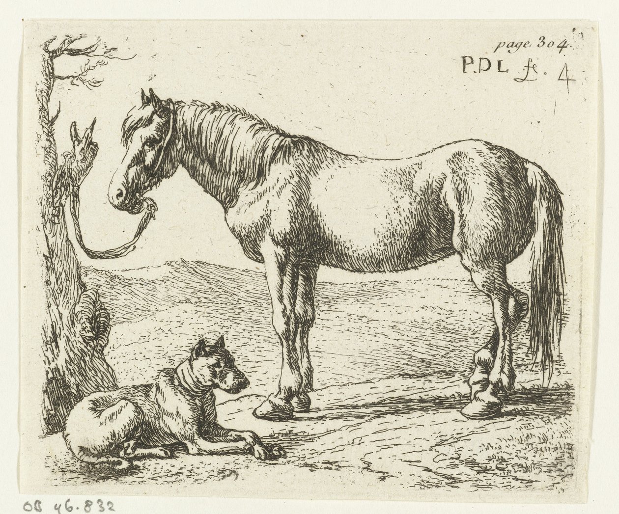 Paard en hond in een weide door Pieter Bodding van Laer