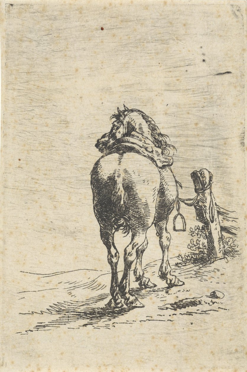 Gezadeld paard aan een paal door Pieter Cornelisz. Verbeeck