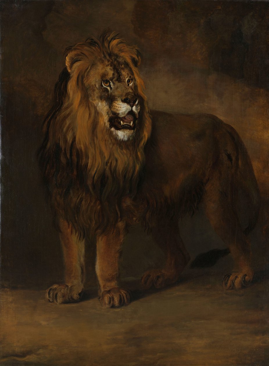 Een leeuw uit de menagerie van koning Lodewijk Napoleon, 1808 door Pieter Gerardus van Os