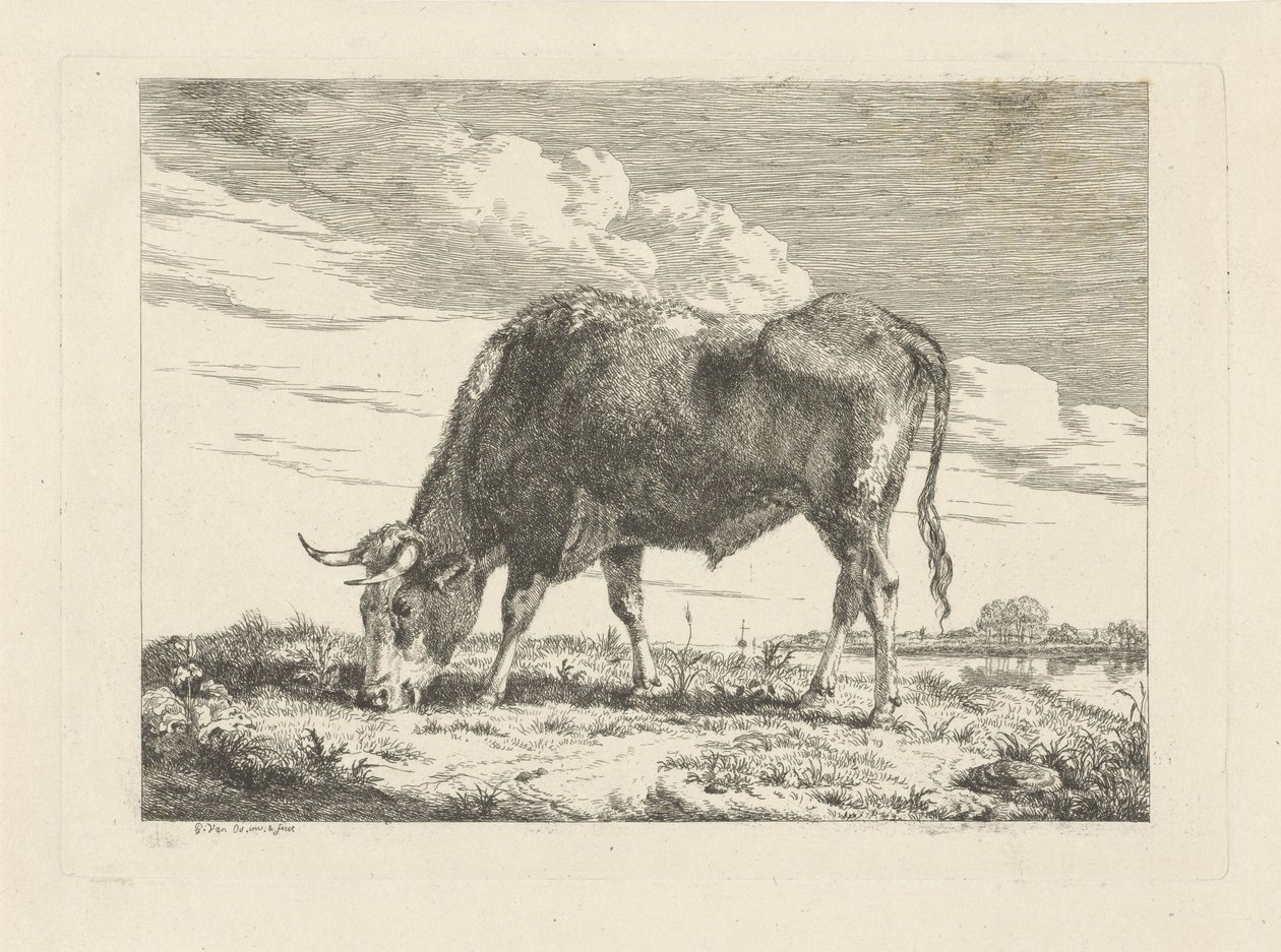 Grazende koe door Pieter Gerardus van Os