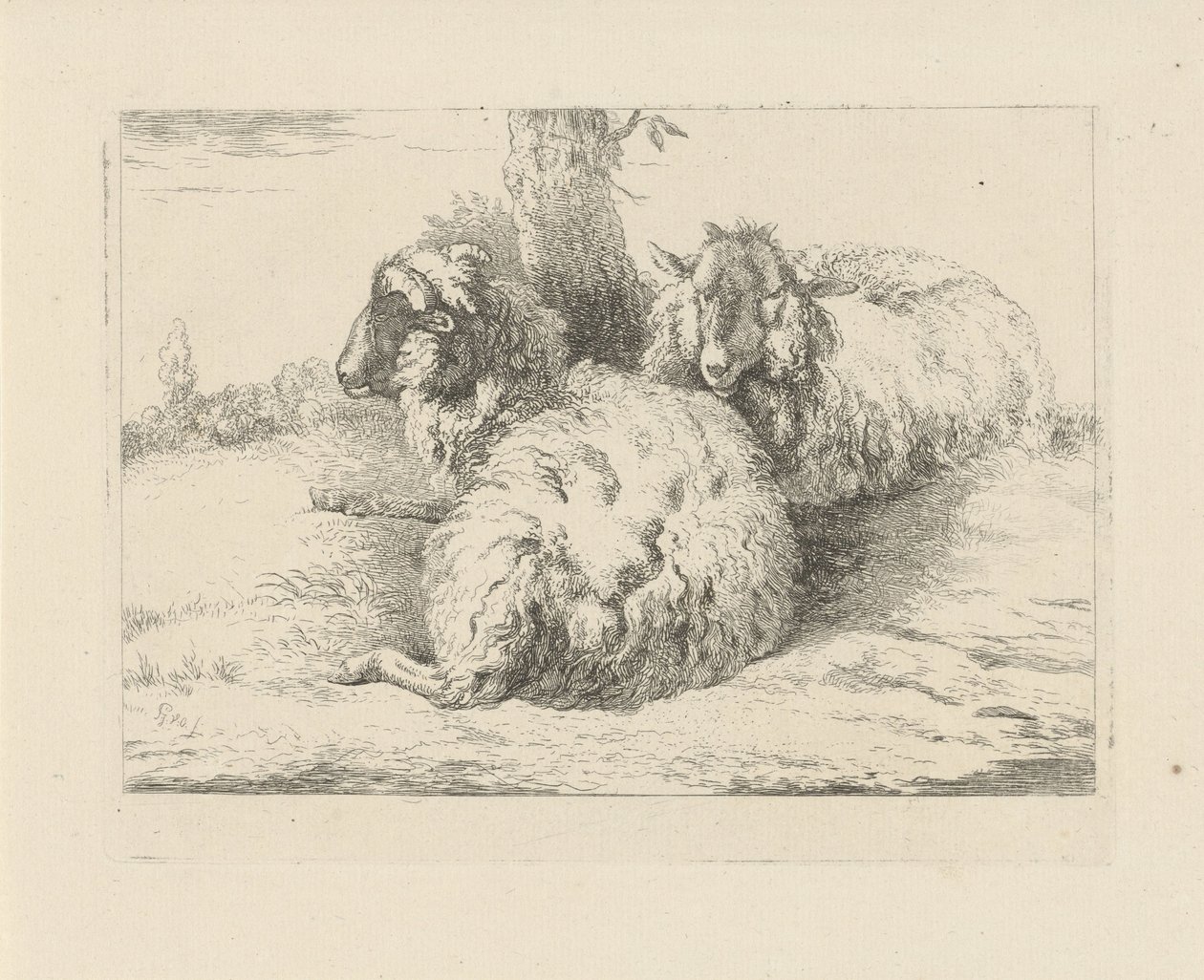 Liggende schapen door Pieter Gerardus van Os