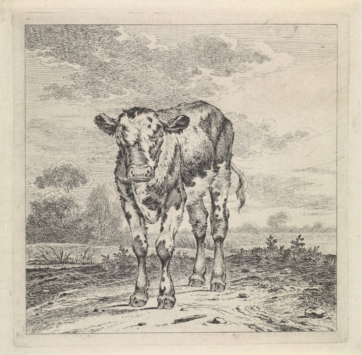 Landschap met kalf door Pieter Janson
