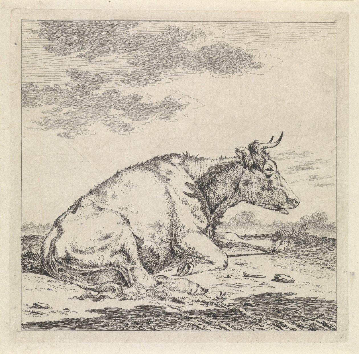 Liggende koe, naar rechts door Pieter Janson