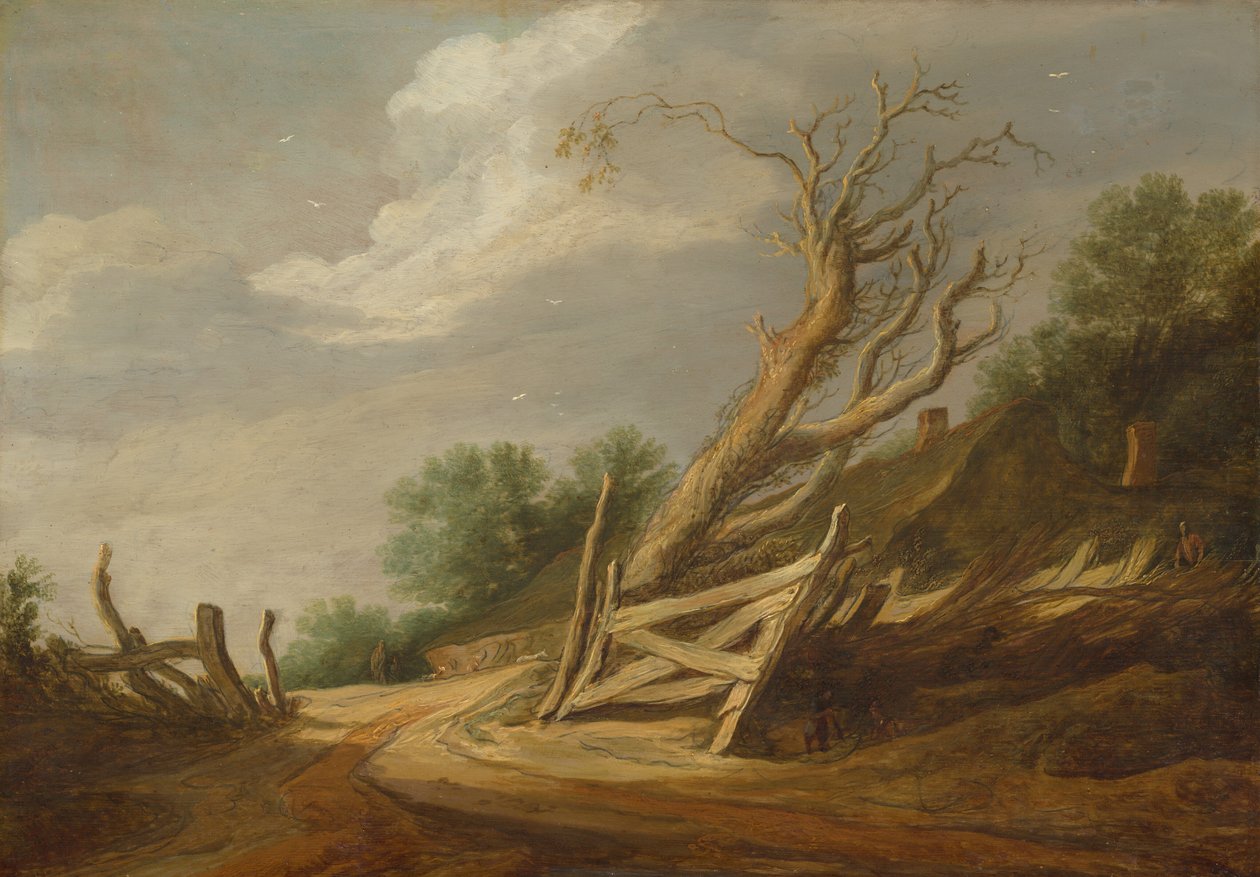  door Pieter Molijn