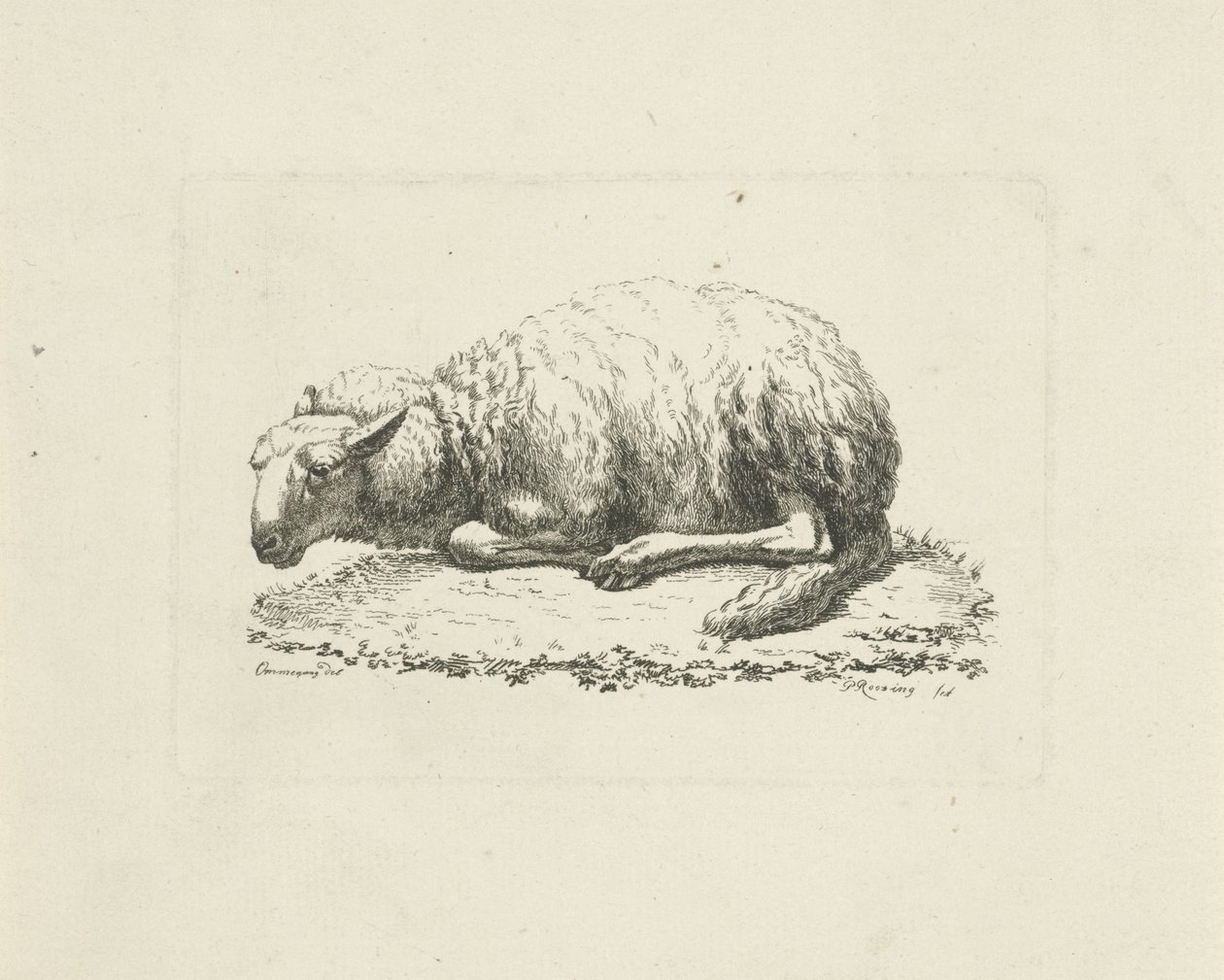 Liggend schaap door Pieter Roosing