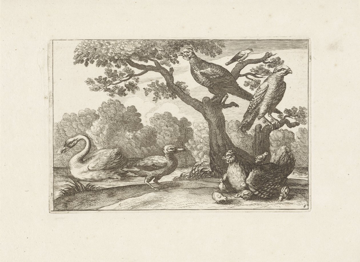 Kip met kuikens en andere vogels door Pieter Schenk (I) (attributed to)