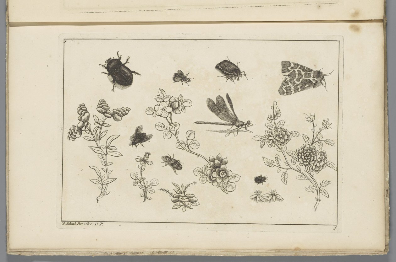 Bloementakken met insecten door Pieter Schenk (II)