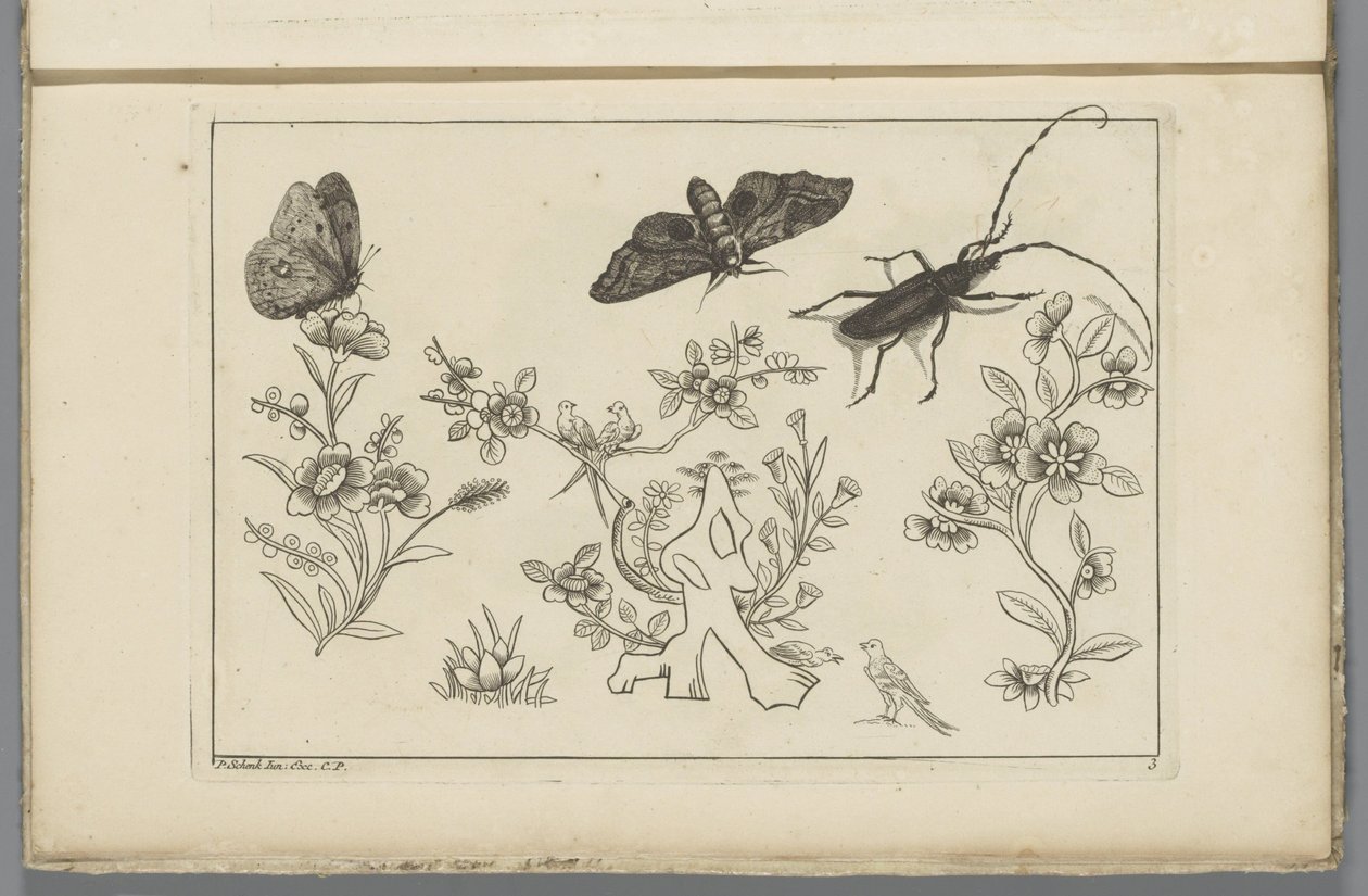 Drie bloementakken met vogels, vlinders en een insect door Pieter Schenk (II)