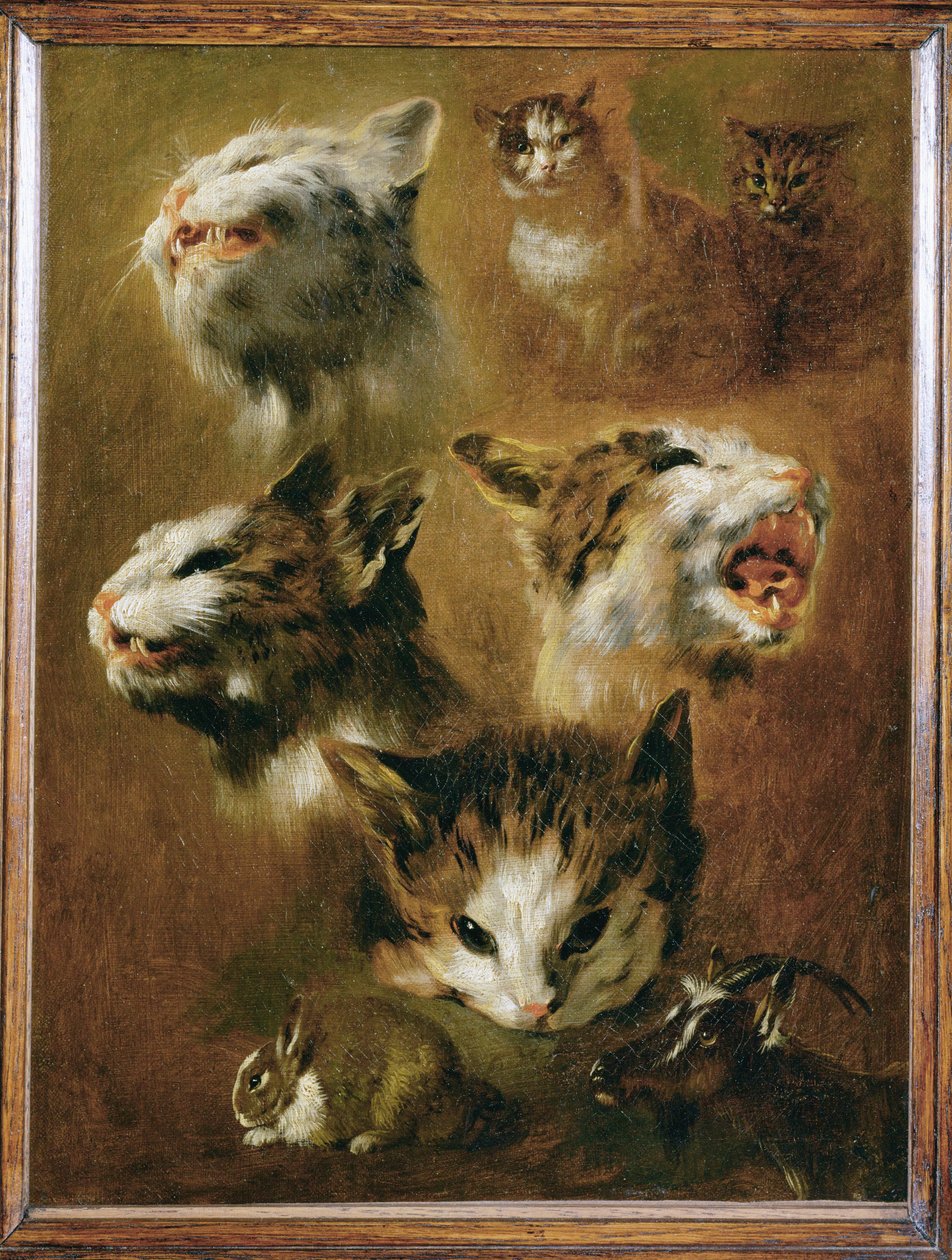 Hoofd van een kat, een konijn, een geit (schilderij op doek) door Pieter or Peter Boel