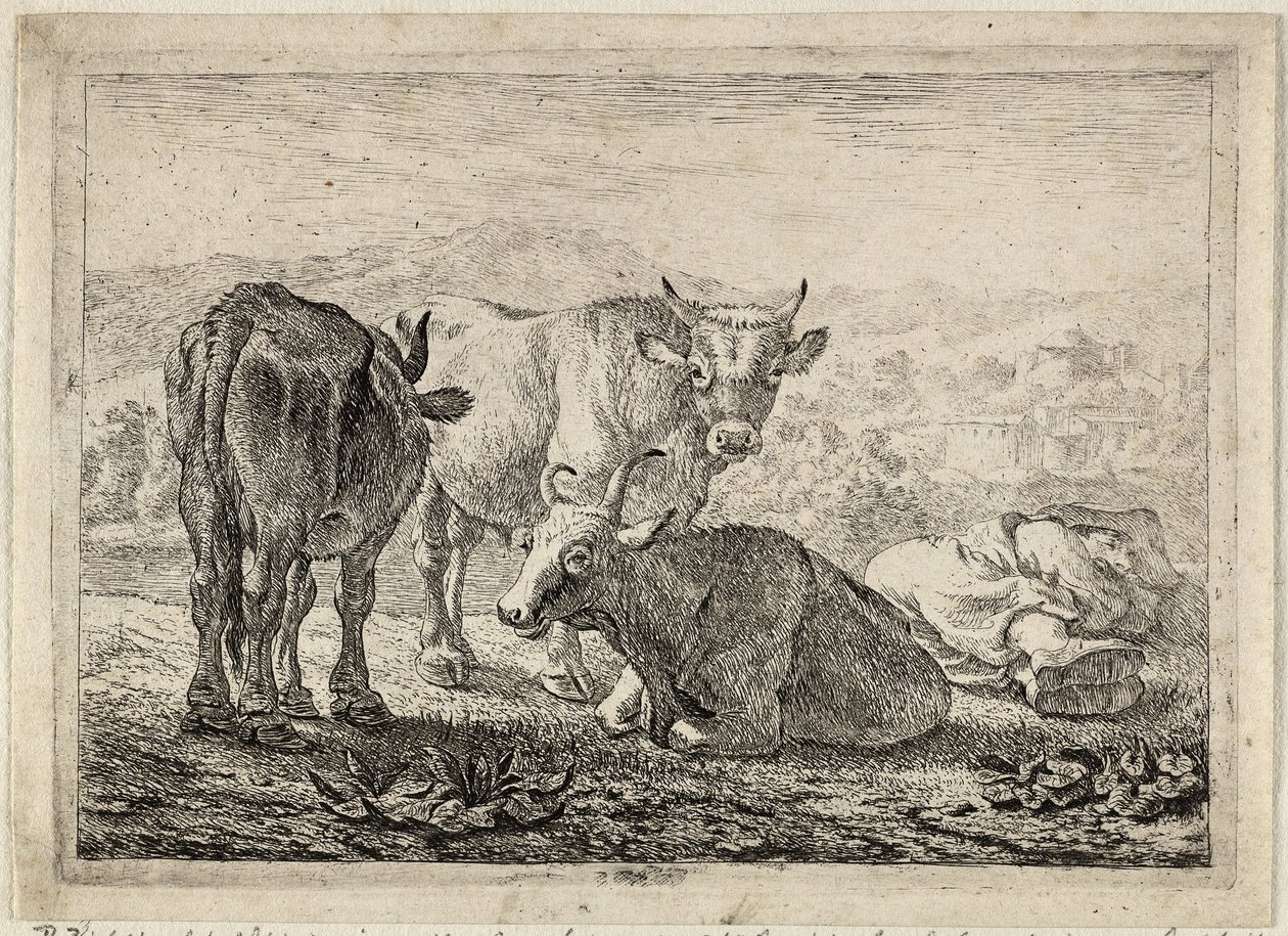 German: Drei Rinder und ein schlafender Hirte
French: Les boeufs
Dutch: Drie runderen en een slapende herder door Pieter van Laer