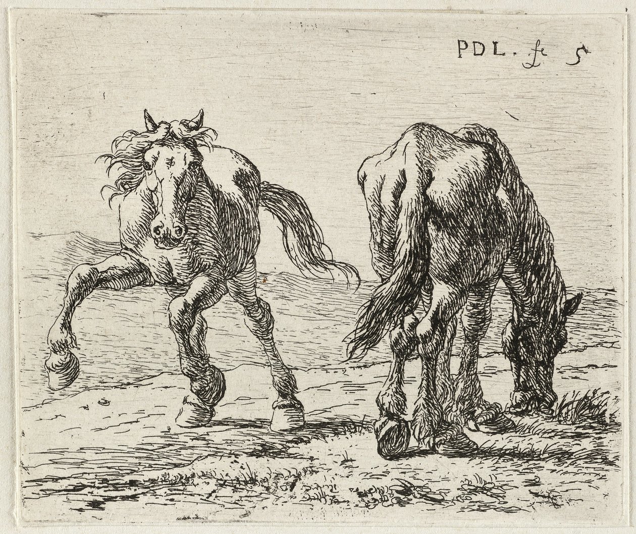 German: Zwei Pferde auf einer Weide
French: Les deux chevaux au pâturage
Dutch: Twee paarden in een weide door Pieter van Laer