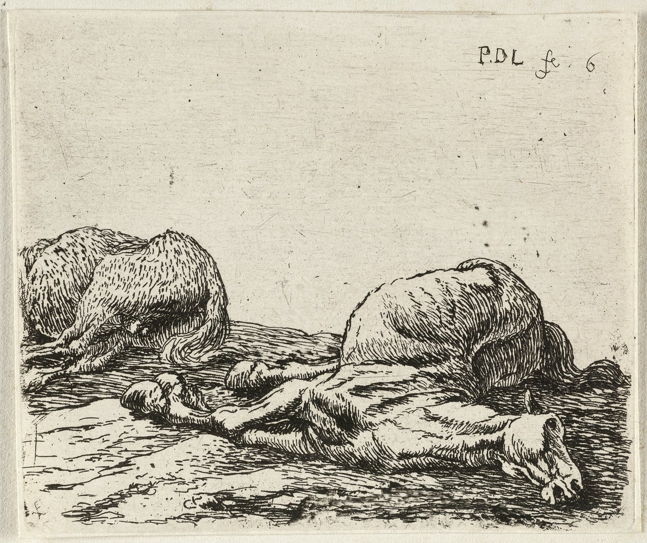 German: Zwei tote Pferde
French: Les deux chevaux morts
Dutch: Twee dode paarden door Pieter van Laer
