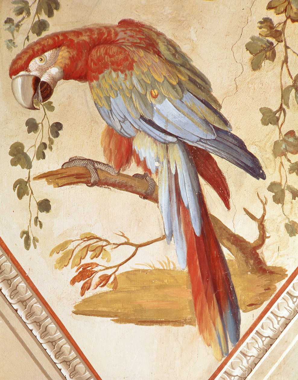 Een papegaai (muurschildering) door Pietro Rotati