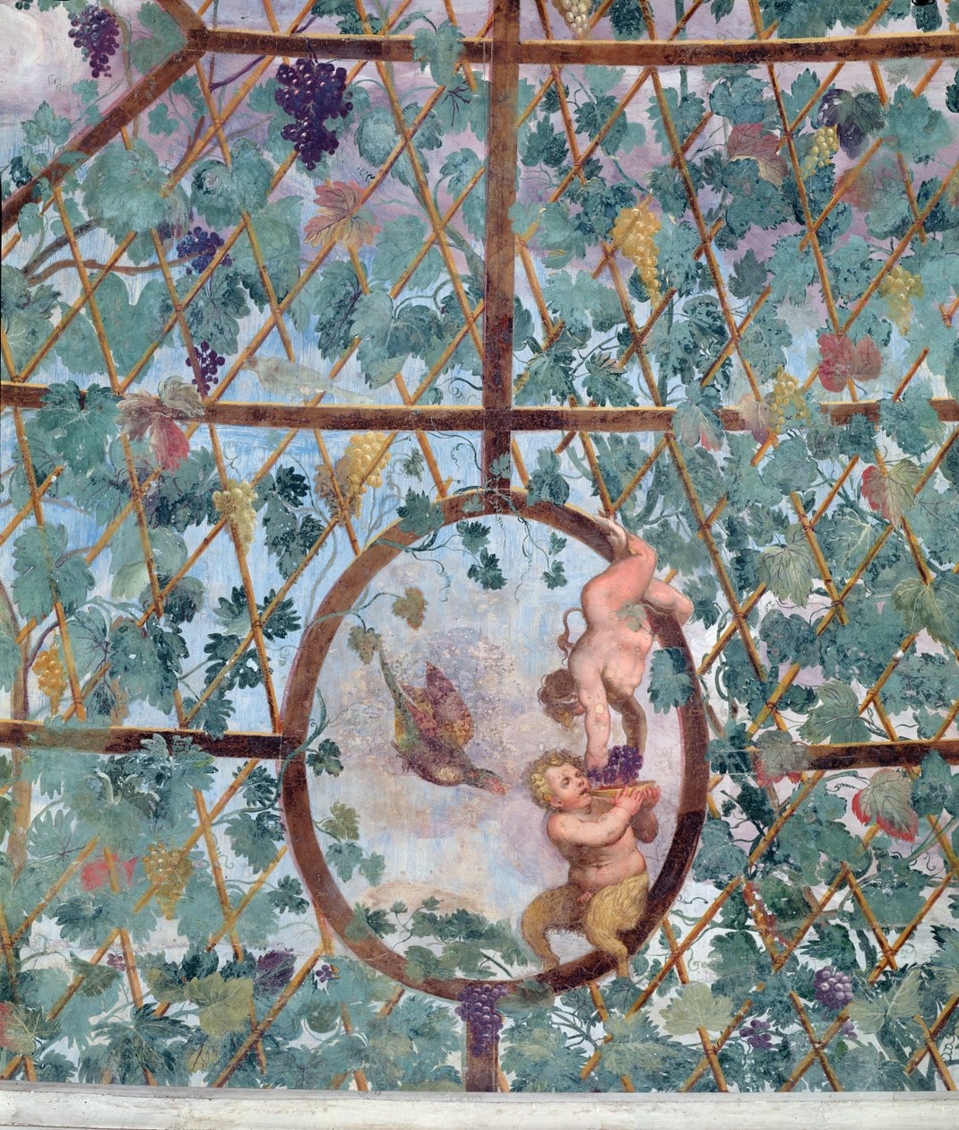 De halfronde ionische portiek, detail van het plafondgewelf met afbeelding van een putto die een jonge sater druiven voert, 1551-55 door Pietro Venale