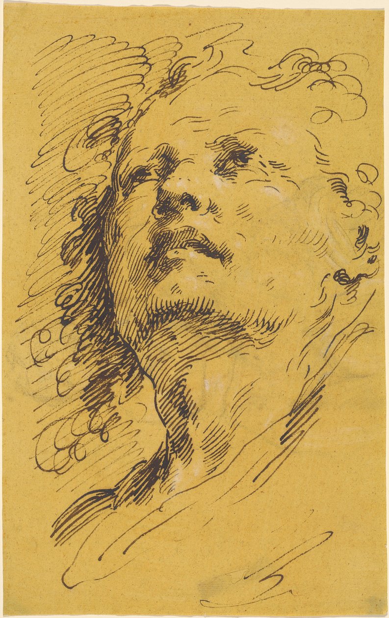 Hoofd van een Man die Omhoog Kijkt door Pietro Antonio Novelli