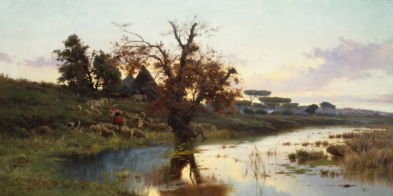 Kudde bij zonsondergang door Pietro Barucci
