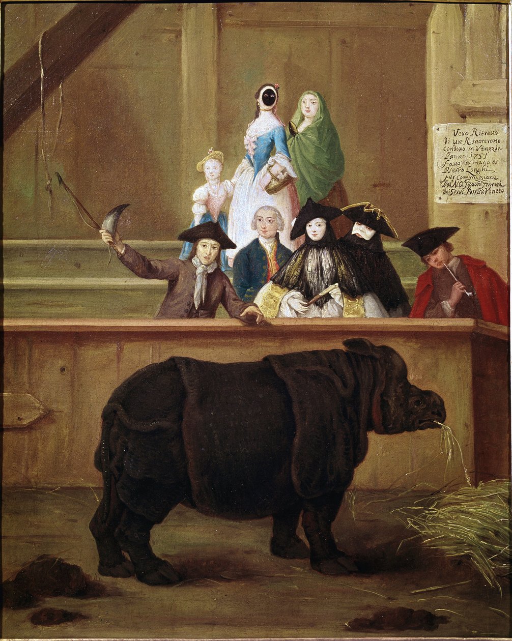 Neushoorn: tentoonstelling van Clara, Indische neushoorn door Pietro Longhi