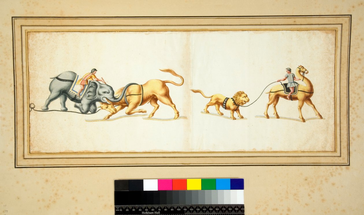 Kopie van een mozaïek van een olifant die vecht tegen een stier (zwarte krijt, sommige met pen en bruine inkt. gekleurd met aquarel) door Pietro Santi Bartoli