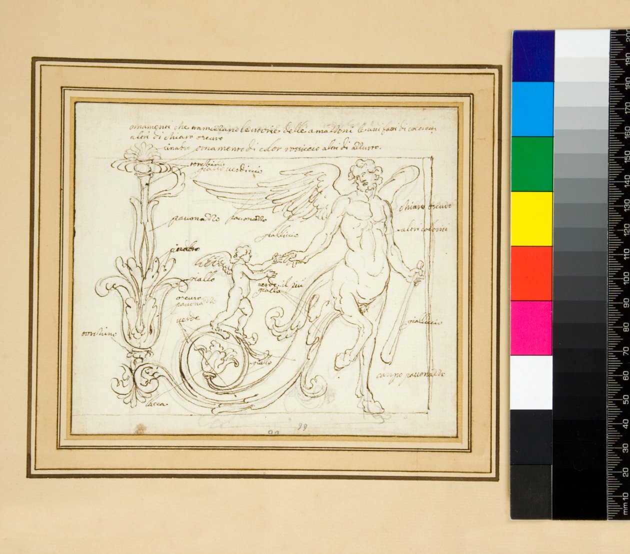 Ornamenti che tramezzano le vitorie delle amazzoni le uni fatti di coloretti altri di chiaro oscuropen door Pietro Santi Bartoli