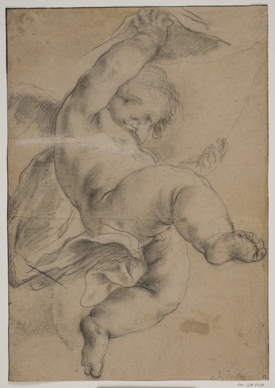 Vliegende putto die een gordijn optilt door Pietro da Cortona