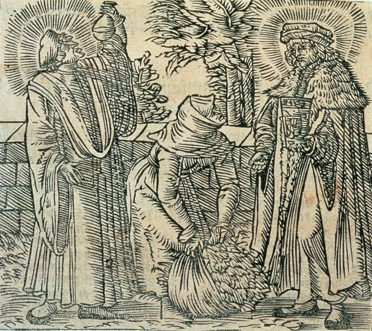 Kruiden verzamelen voor medicijnen, 1534 door Polish School