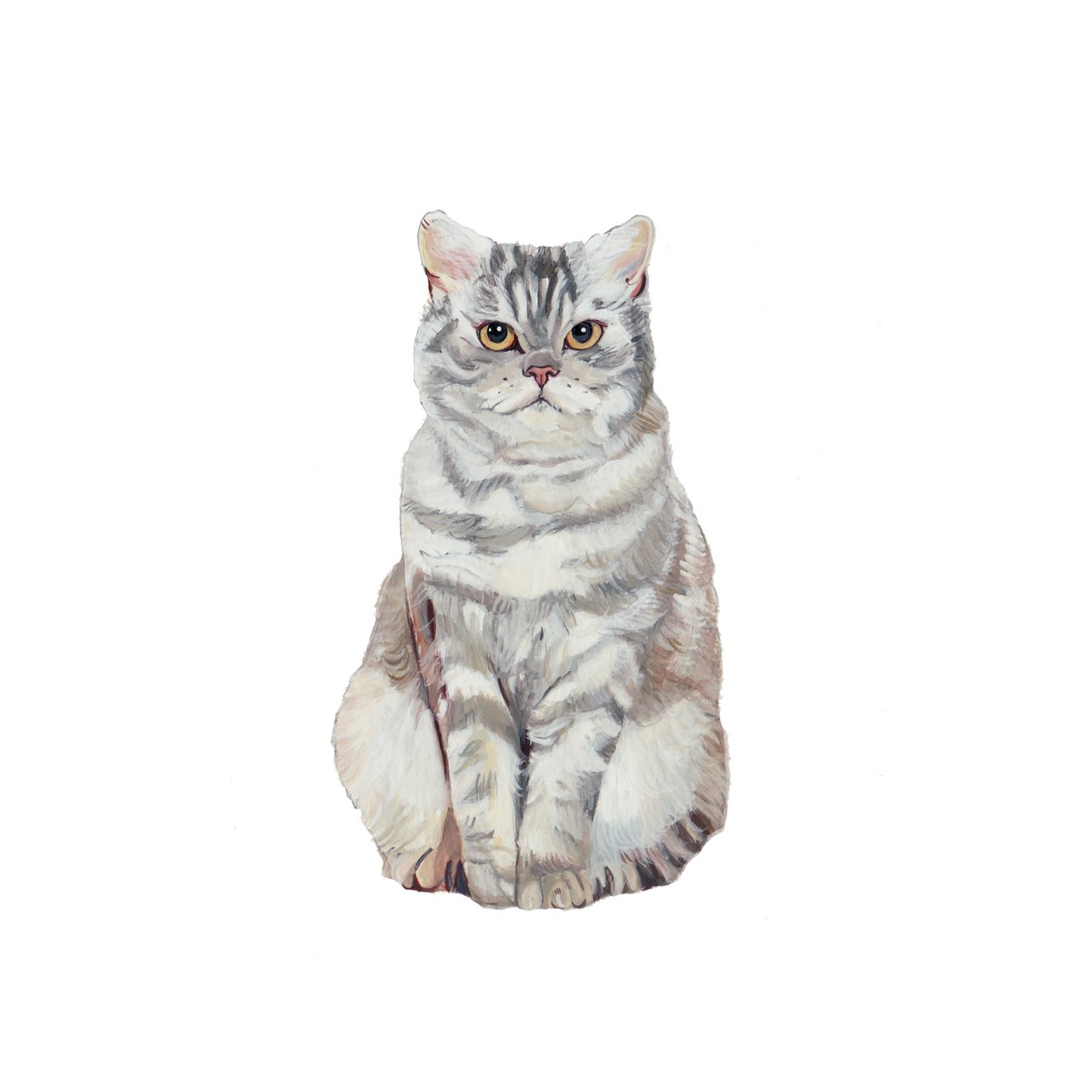 Selkirk Rex, 2014 (aquarel  gouache op papier) door Polly Horner