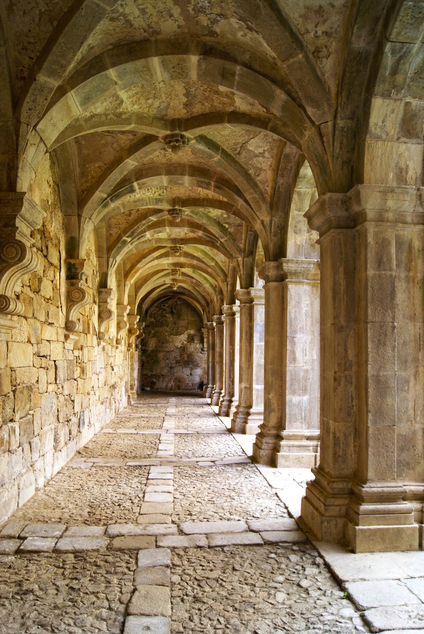 Uitzicht op de kloosters, Klooster van Santa Maria de Salzedas, Tarouca, Portugal door Portuguese School