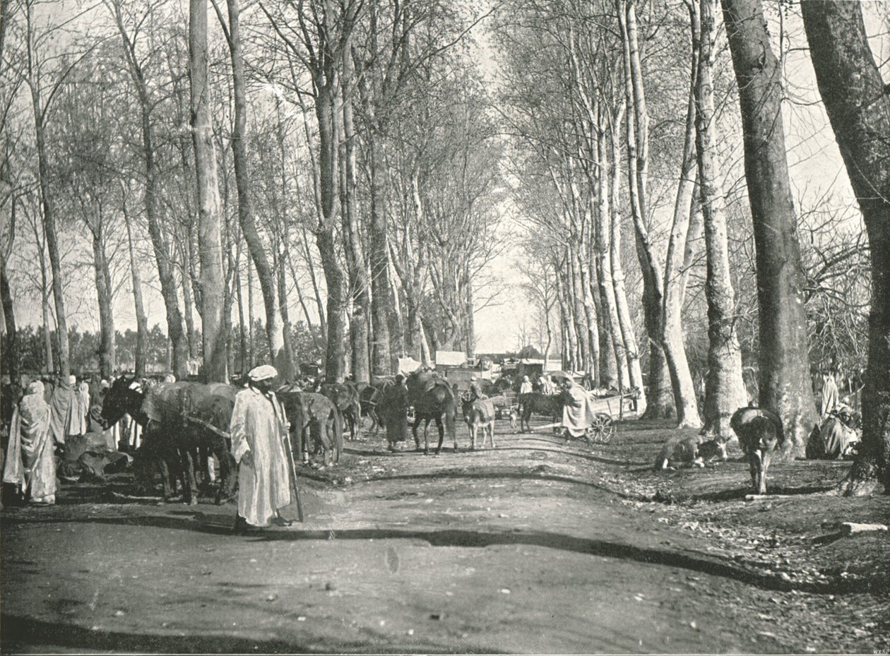 Arabische markt en beurs, Boufarik, Algerije door Poulton and Co