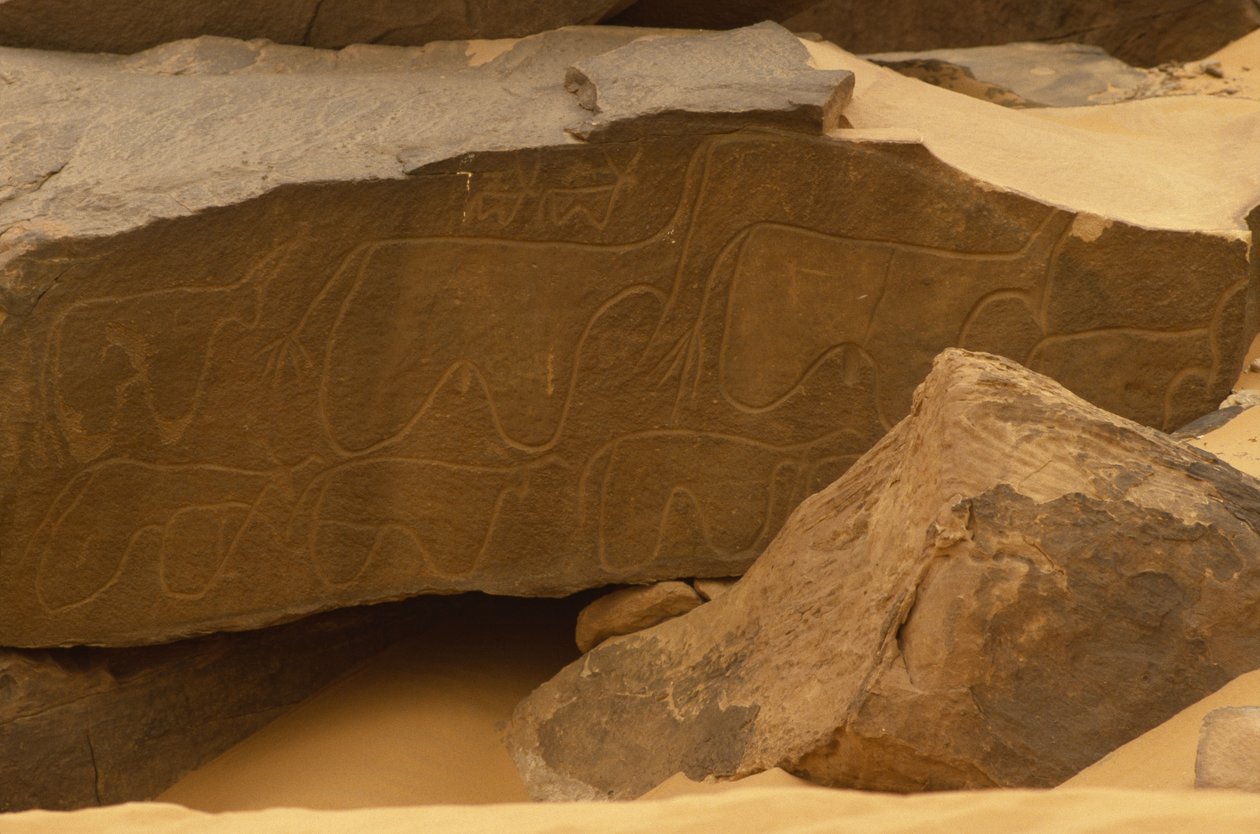 Dieren (rotsgravure) door Prehistoric