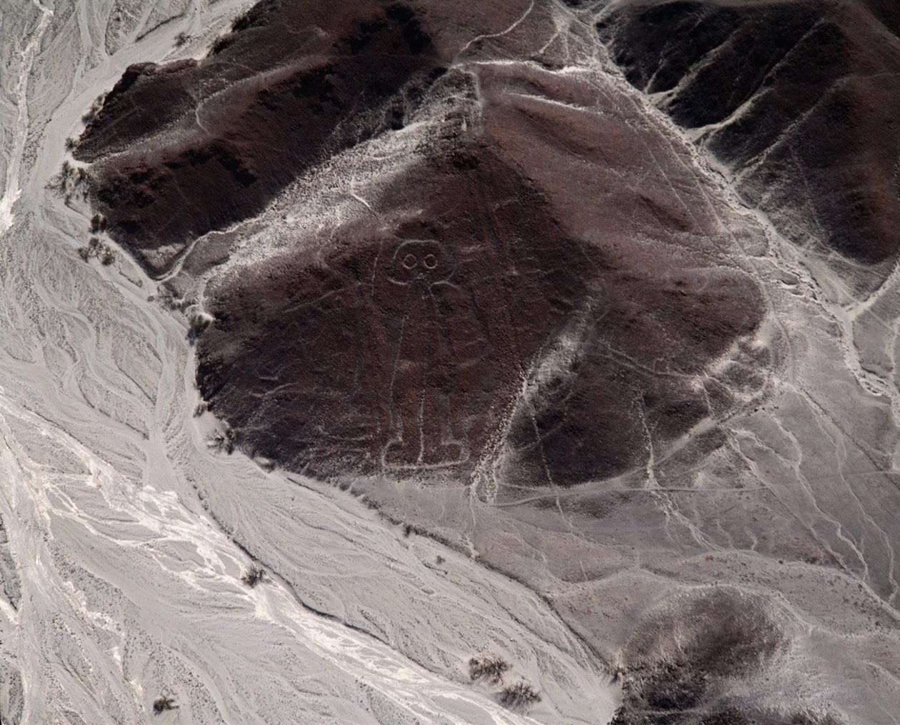 Luchtfoto van Nazcalijnen die een menselijke figuur voorstellen door Prehistoric Prehistoric