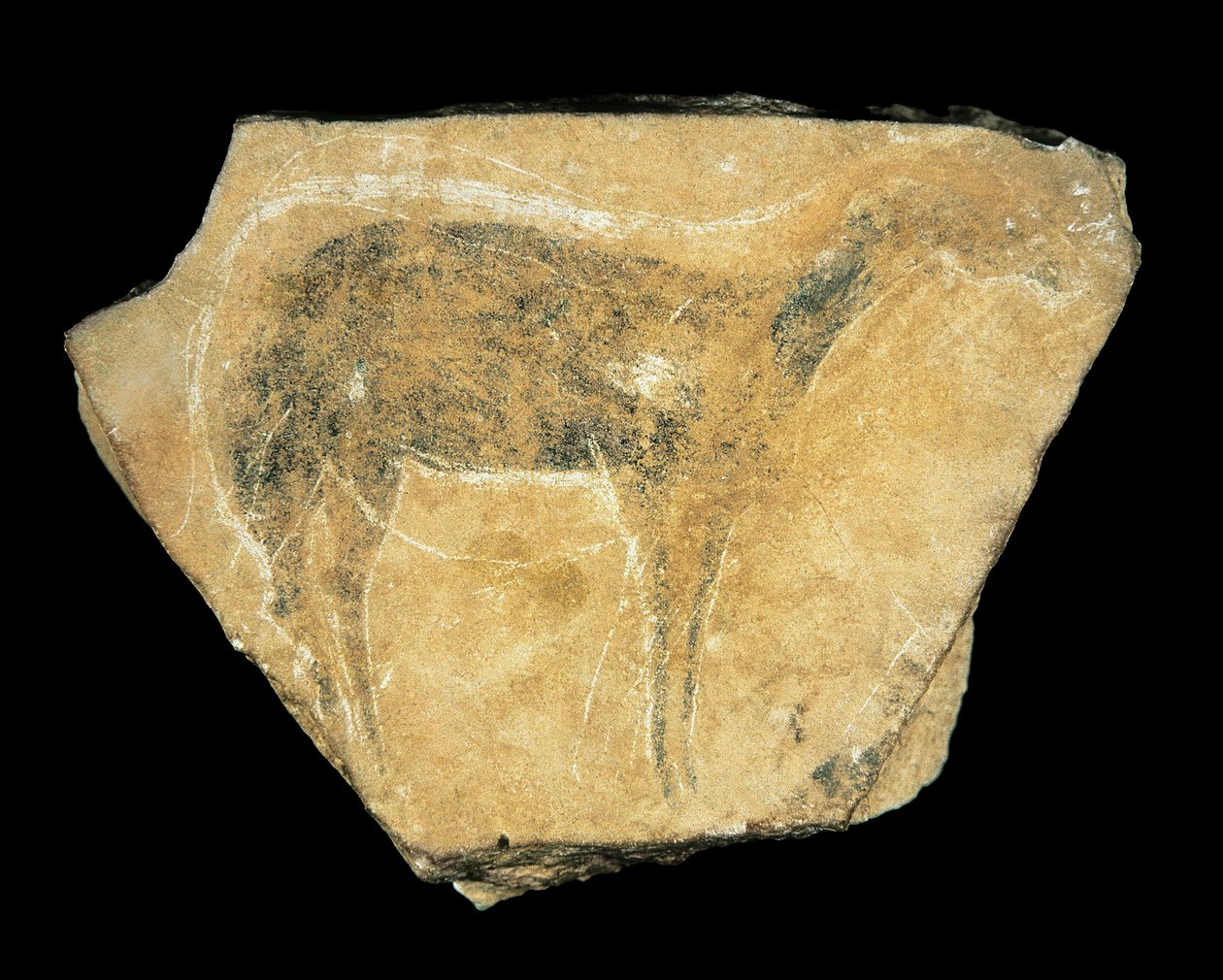 Zwarte hinde, Parpallo Grot, Spanje, Boven-Paleolithicum door Prehistoric Prehistoric