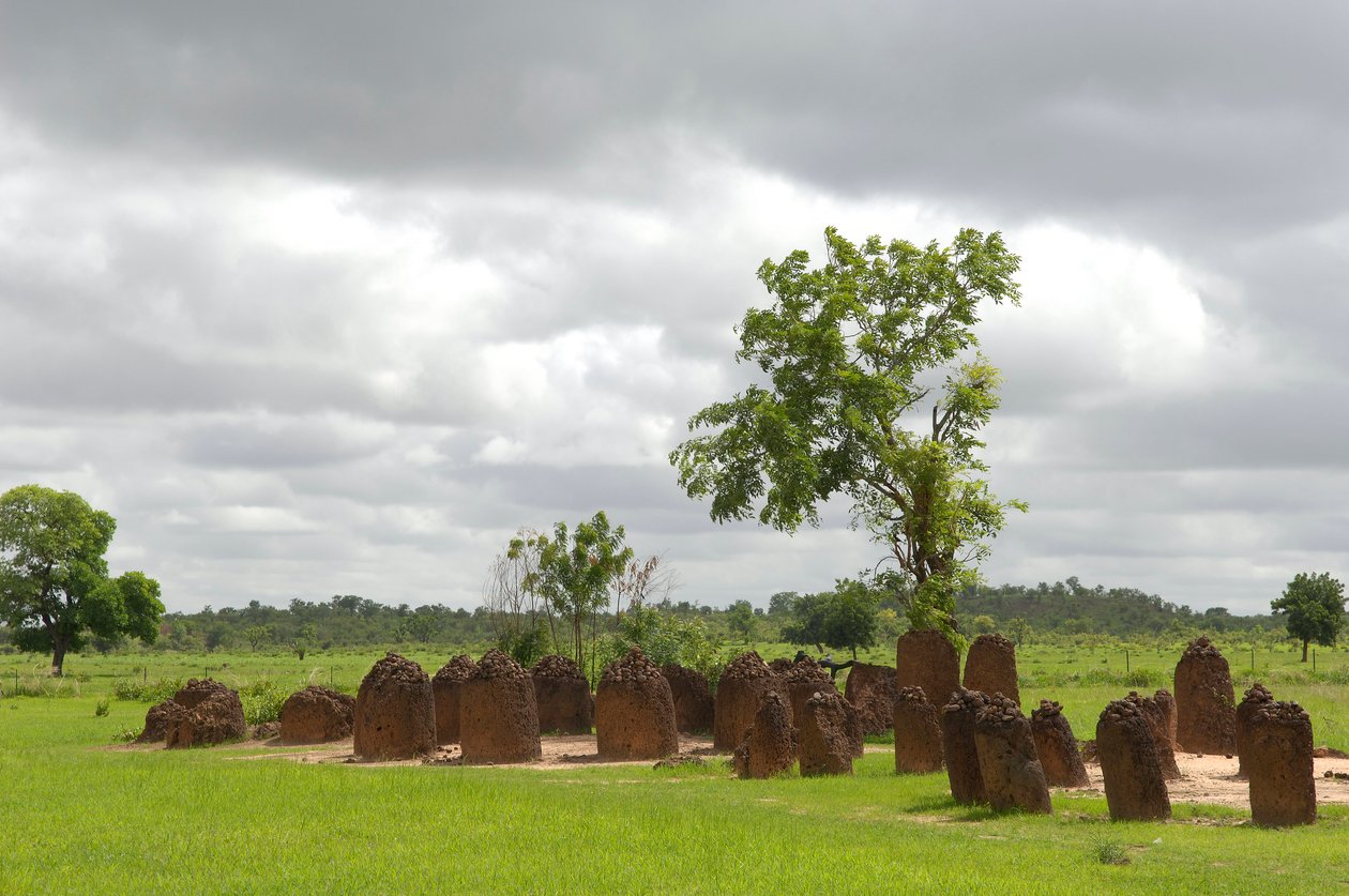Prehistorie: Megalithische steencirkel van Wassu, Gambia (foto) door Prehistoric Prehistoric