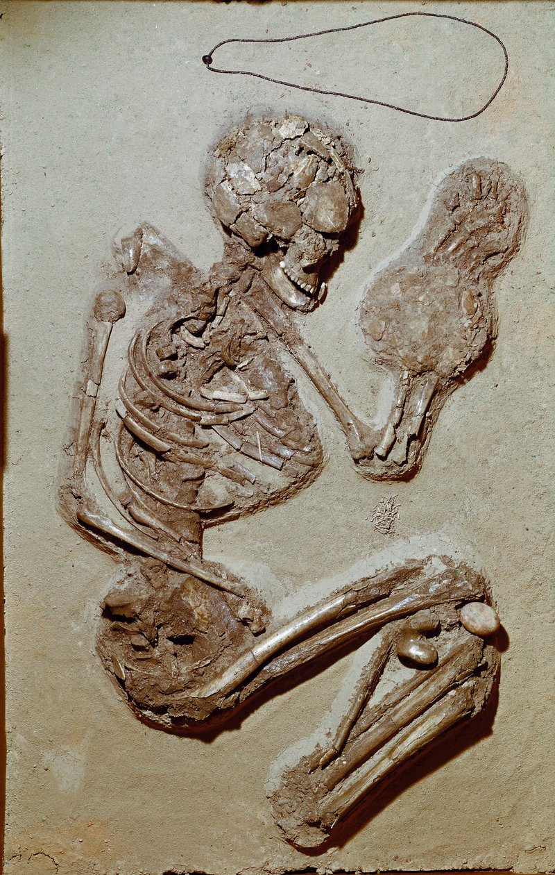 Prehistorie: vrouwelijk skelet daterend uit het Boven-Neolithicum. Cultuur van Chiozza. 2900-2700 v.Chr. Reggio Emilia, Musei Civici, Museo Chierici, Italië door Prehistoric Prehistoric