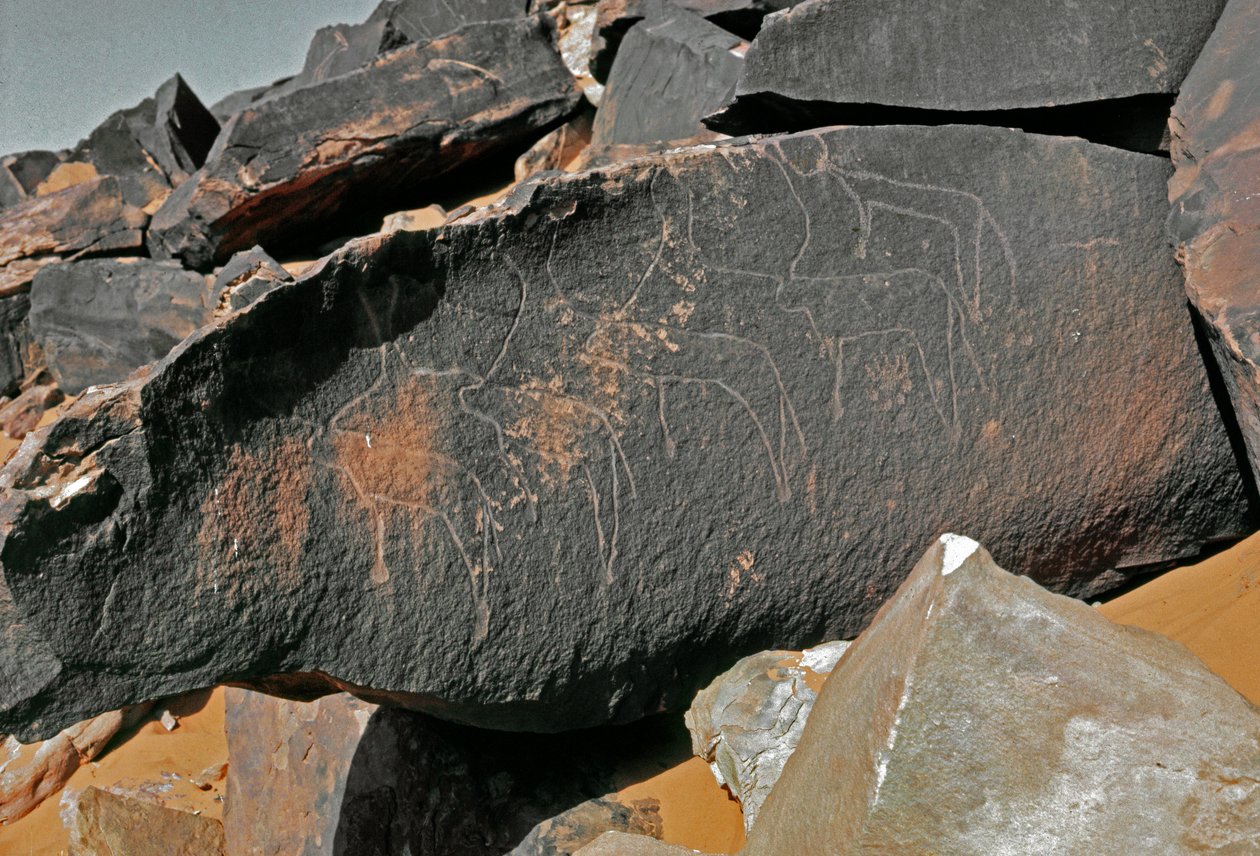 Prehistorie, rotstekeningen: grafrots met de voorstelling van vee door Prehistoric Prehistoric
