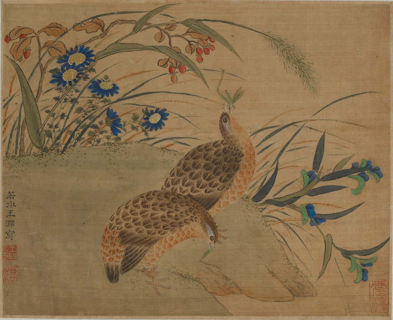 Twee kwartels eten sprinkhanen onder bloemen door Qing Dynasty Chinese School
