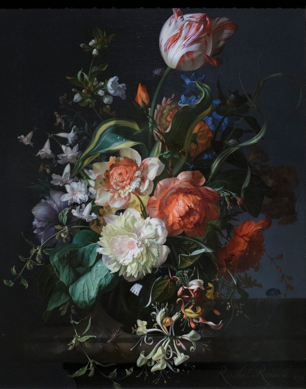 Bloemen in een glazen vaas met een tulp door Rachel Ruysch