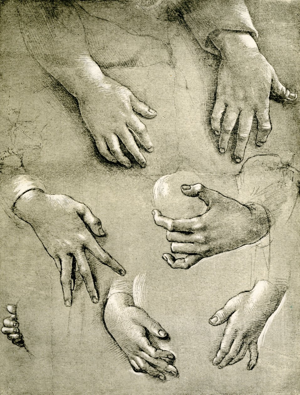 Handstudies voor een Madonna door Raffaellino del Garbo
